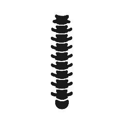 vertebrae Clothing